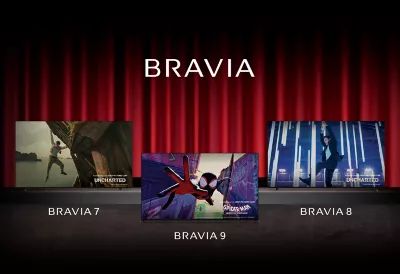 Bravia 2024