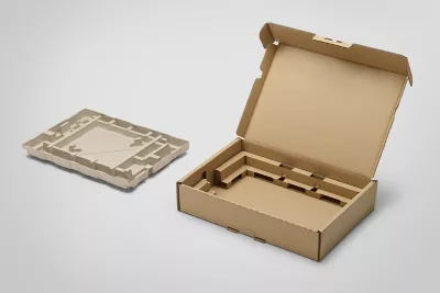 Image of cardboard package and pulp mold inner cushion side by side