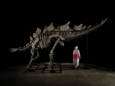 View full screen - View 1 of Lot 13. Stegosaurus.