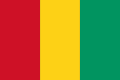 Guinea football team football crest