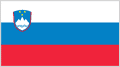 Slovenia football crest