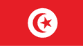 Tunisia football team football crest