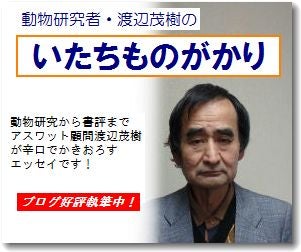 アスワット顧問・渡辺茂樹のブログ、いたちものががりのバナー