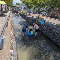 画像 ありがとう券がもらえるイベント  打ち水大作戦２０２４　報告 の記事より 7つ目