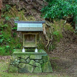 画像 金山時味噌発祥の地 興国寺 ～ 和歌山で鱧と桃と絶景を堪能する #11 の記事より 11つ目