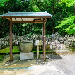 画像 金山時味噌発祥の地 興国寺 ～ 和歌山で鱧と桃と絶景を堪能する #11 の記事より 13つ目