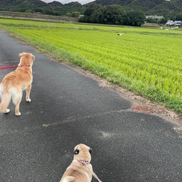 画像 （879）許容であると の記事より 5つ目