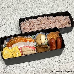 画像 今日（と最近）のお弁当　1105、1031、1029、1025、1024  ＋　息子進路 の記事より 2つ目