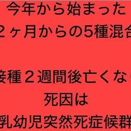 画像 2024/11/07 の記事より 5つ目