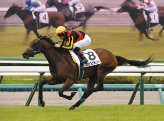 半兄がフォーエバーヤングの注目馬ブラウンラチェットが初陣で快勝　鞍上ルメールも今後へ期待大【競馬】