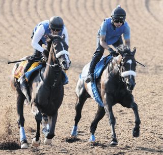 【毎日王冠】シックスペンス、逃げ切り重賞２勝目 ルメールは同レース３勝目