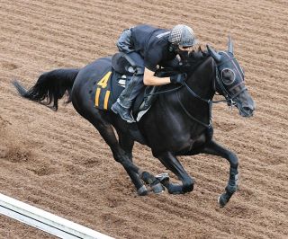 クリスマスパレード、直線抜け出し重賞初勝利【中山・紫苑S】