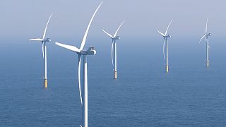 L'éolien en mer : cap sur la mer du Nord 