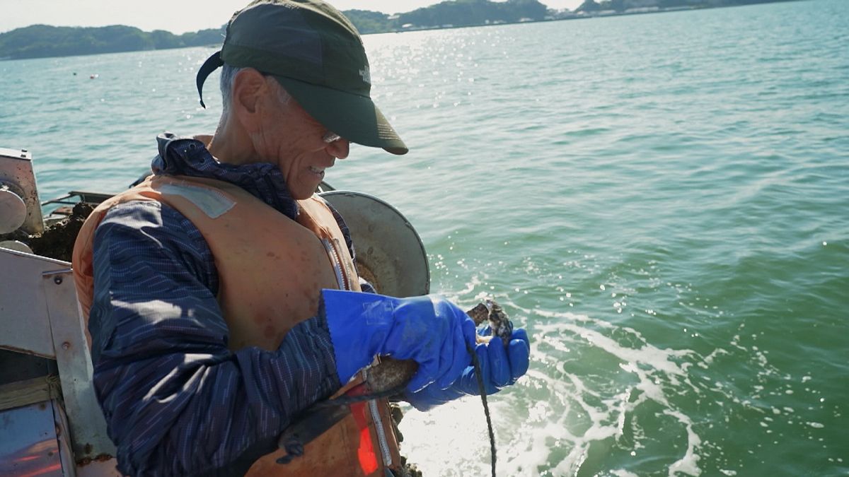 Après le tsunami de 2011, les pêcheurs japonais se tournent vers l'avenir