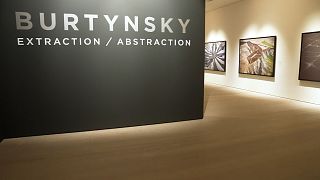 Выставка Буртинского в Saatchi Gallery «приподнимает завесу» над влиянием человечества на Землю