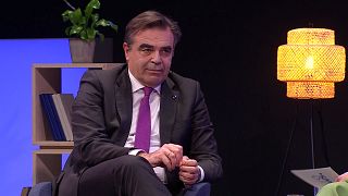 Elezioni europee, Schinas: "L'Ue è stata il vigile del fuoco di molte crisi"