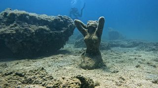 Cipro, il cambiamento del clima sta minando gli ecosistemi marini