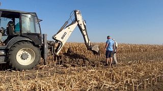 Siccità a Olt, nel sud-ovest della Romania