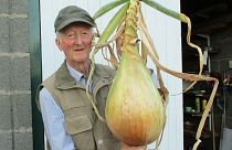 Peter avec l'un de ses impressionnants légumes géants.