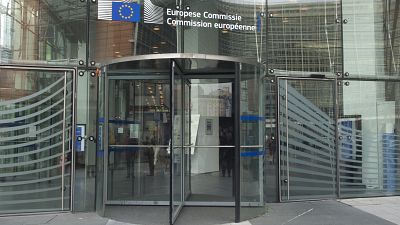 La Commission européenne a été critiquée pour les scandales répétés autour le passage des fonctionnaires dans le privé.