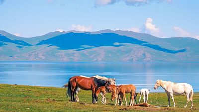 Cavalli al pascolo davanti a un lago in Kirghizistan