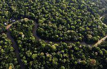 La loi européenne sur la déforestation a été fortement contestée par les pays du Sud.