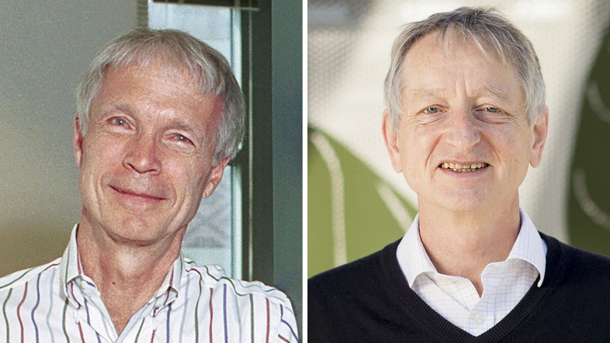 John Hopfield und Geoffrey Hinton haben den Nobelpreis für Physik 2024 erhalten.  