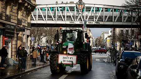 A farmer drives his tractor during a protest on Friday, 23 February 2024 in Paris. 