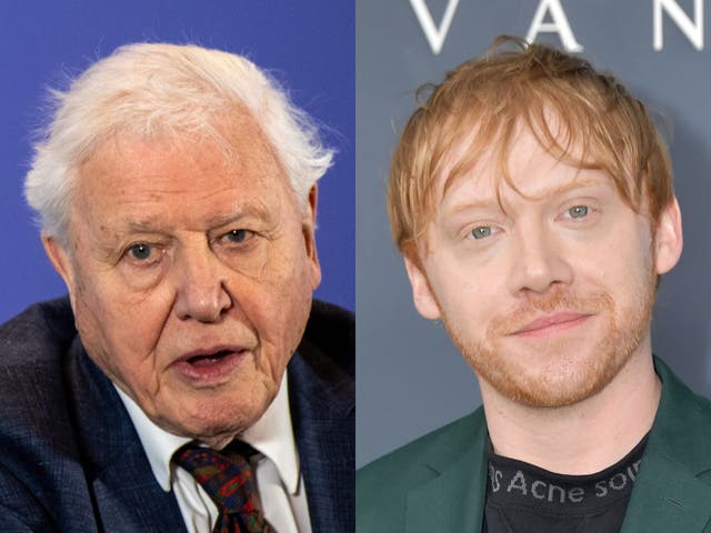 David Attenborough and Rupert Grint