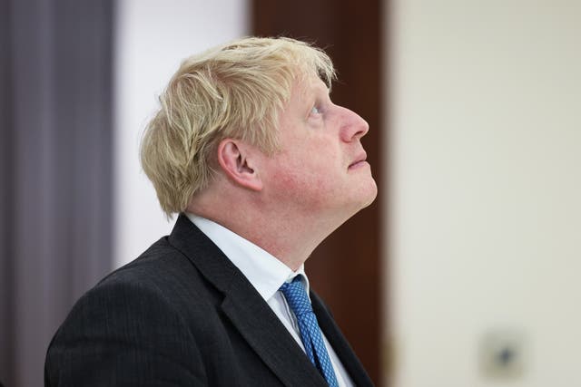 <p>Prime Minister Boris Johnson </p>