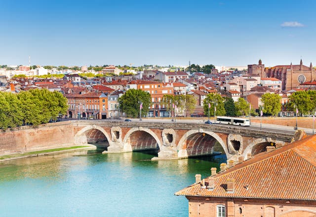 <p>Toulouse and Pont Neuf bridge across the Garonne </p>