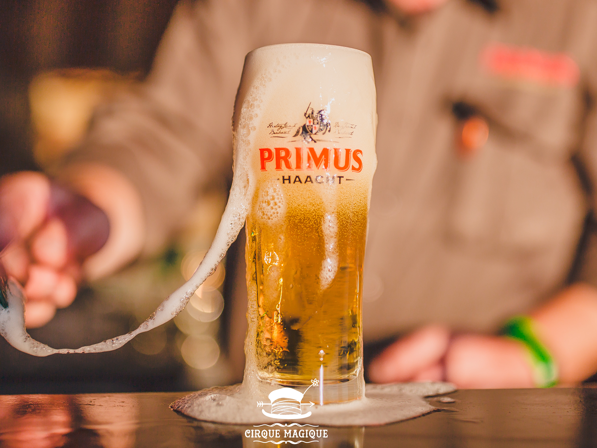 Haacht primus pilsner