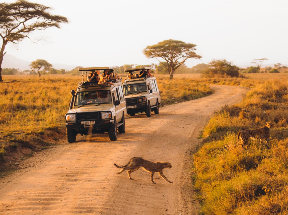 On safari in Tanzania