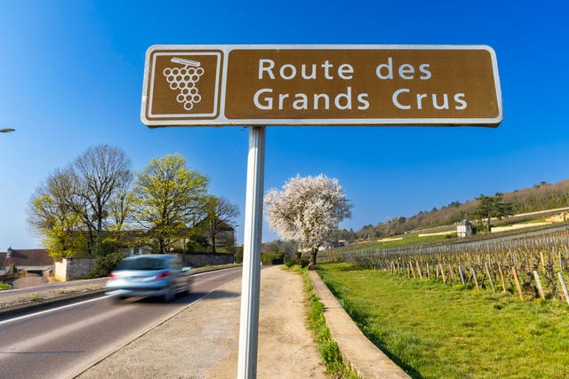 <p>Wine road (Route des Grands Crus) near Beaune, Burgundy, France</p>