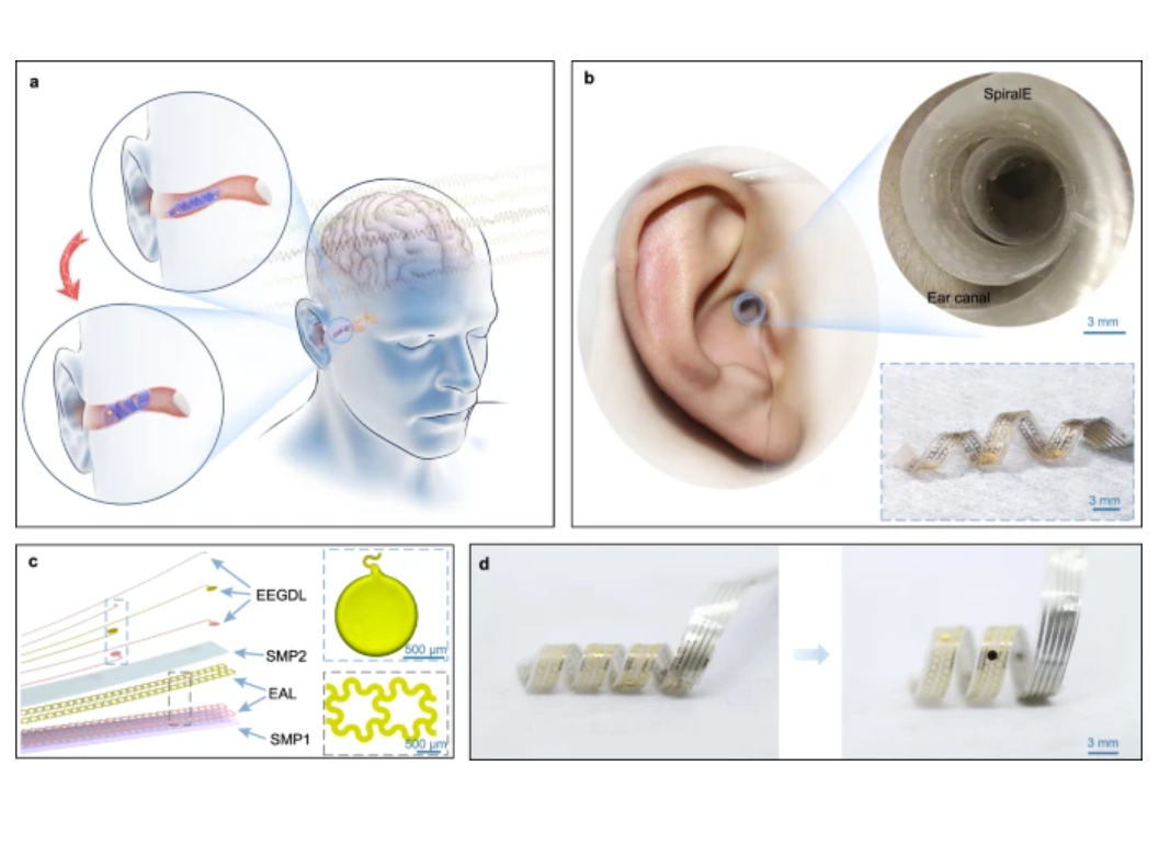 The in-ear brain-computer interface can ‘adaptively expand'