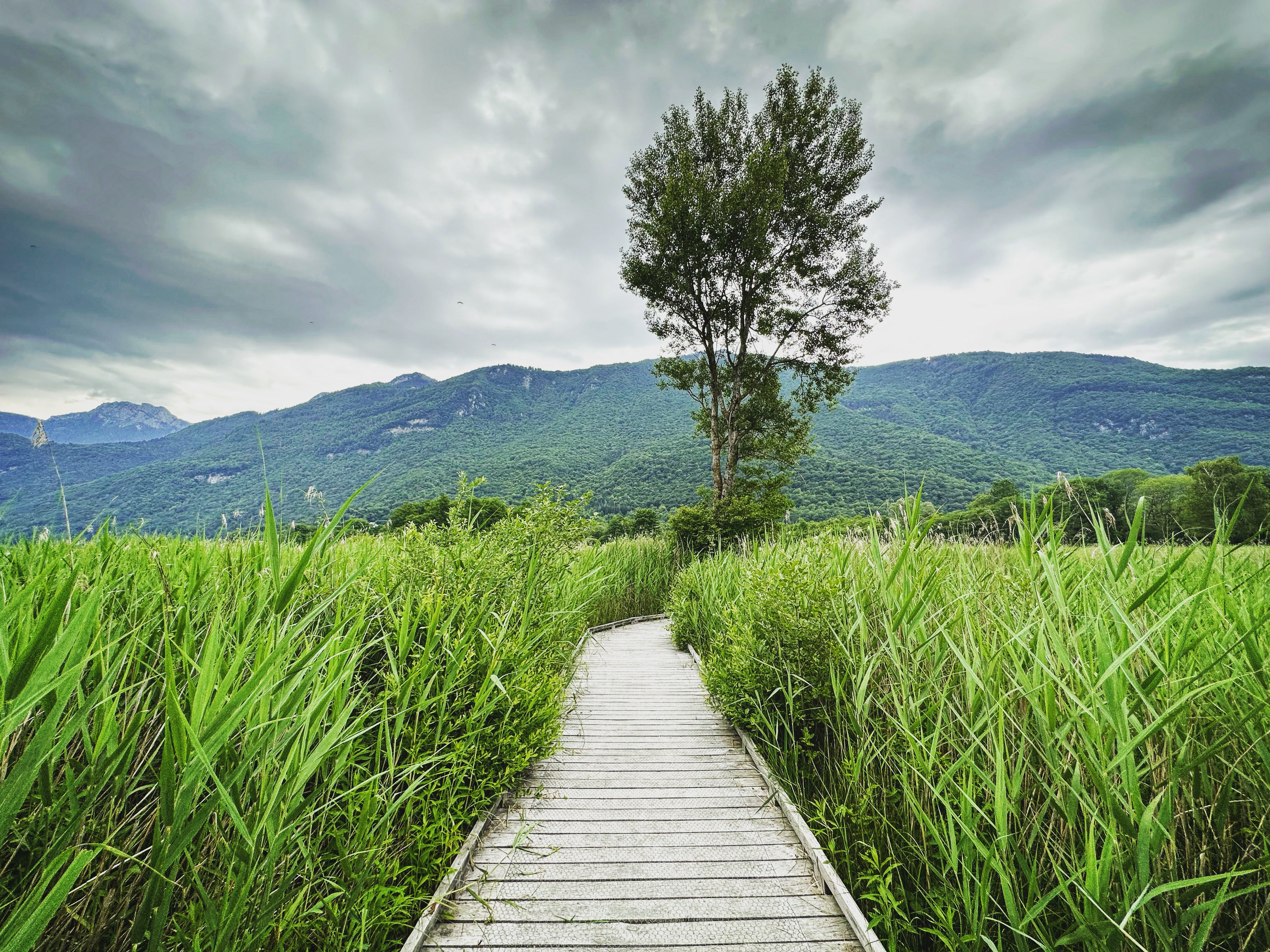 Bout du Lac nature reserve