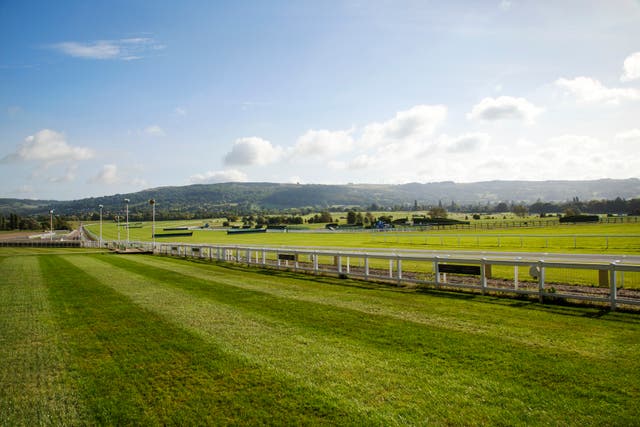 <p>Hooves, bookies and punters will hit the racecourse tomorrow  </p>