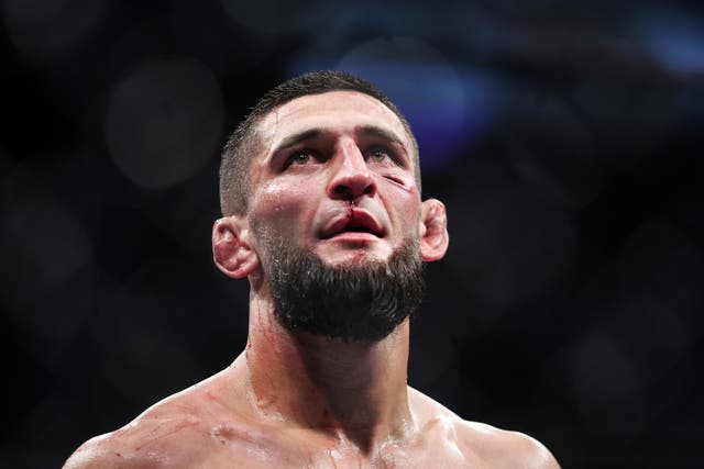 <p>Unbeaten UFC middleweight Khamzat Chimaev </p>