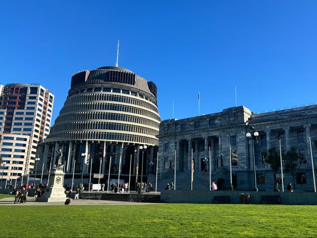 <p>People arrive at the New Zealand parliament in Wellington for the tabling of the Abuse in Care Royal Commission report on 24 July 2024 </p>