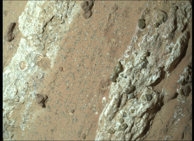 <p>NASA's Perseverance Mars rover captured this image of a rock nicknamed "Cheyava Falls" on July 18, 2024</p>