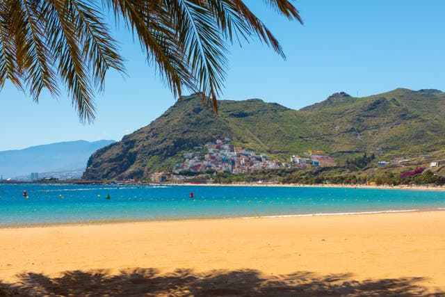 <p>Tenerife’s coastlines mix golden sands with black volcanic beaches</p>