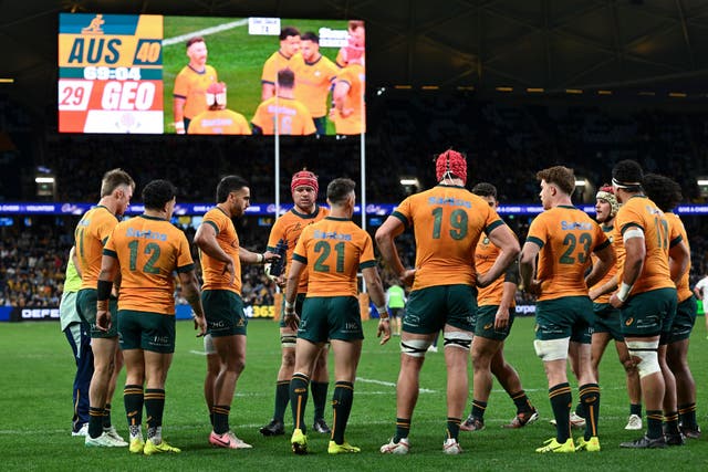 <p>The Wallabies are coming off the back of summer Tests against the likes of Wales and Georgia</p>