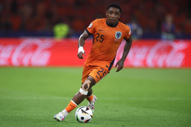 <p>Bergwijn had made two appearances for his country at Euro 2024</p>