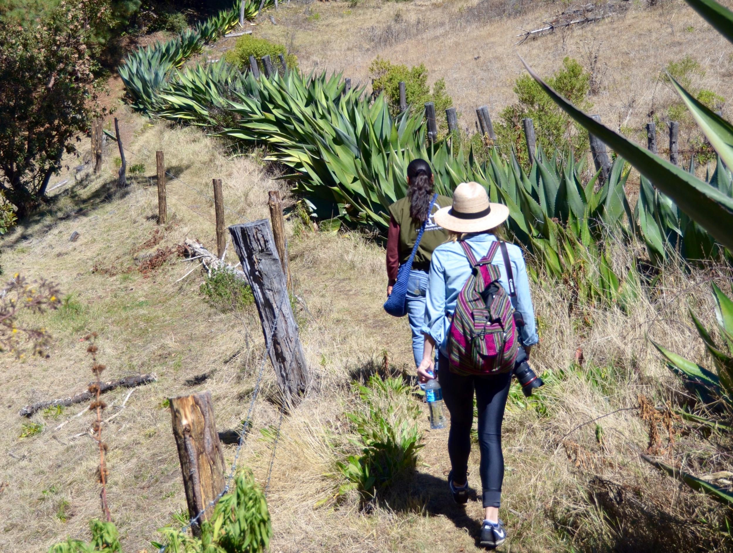 There are around 62 miles of trails between the pueblos