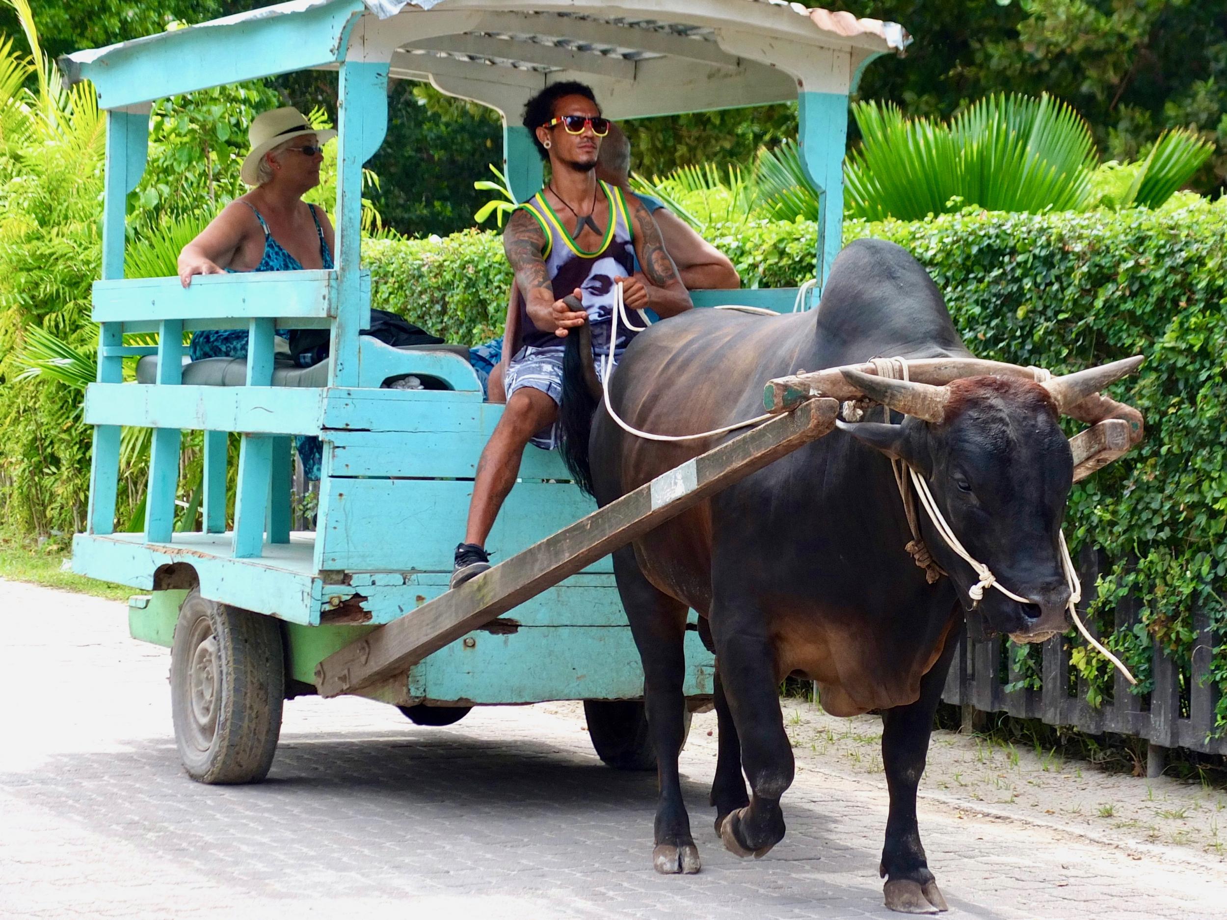 La Digue is mainly car-free