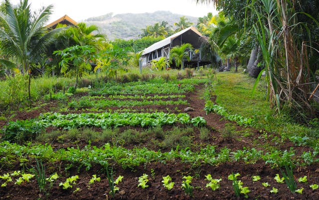 The Otentic glamping site on Mauritius' east coast