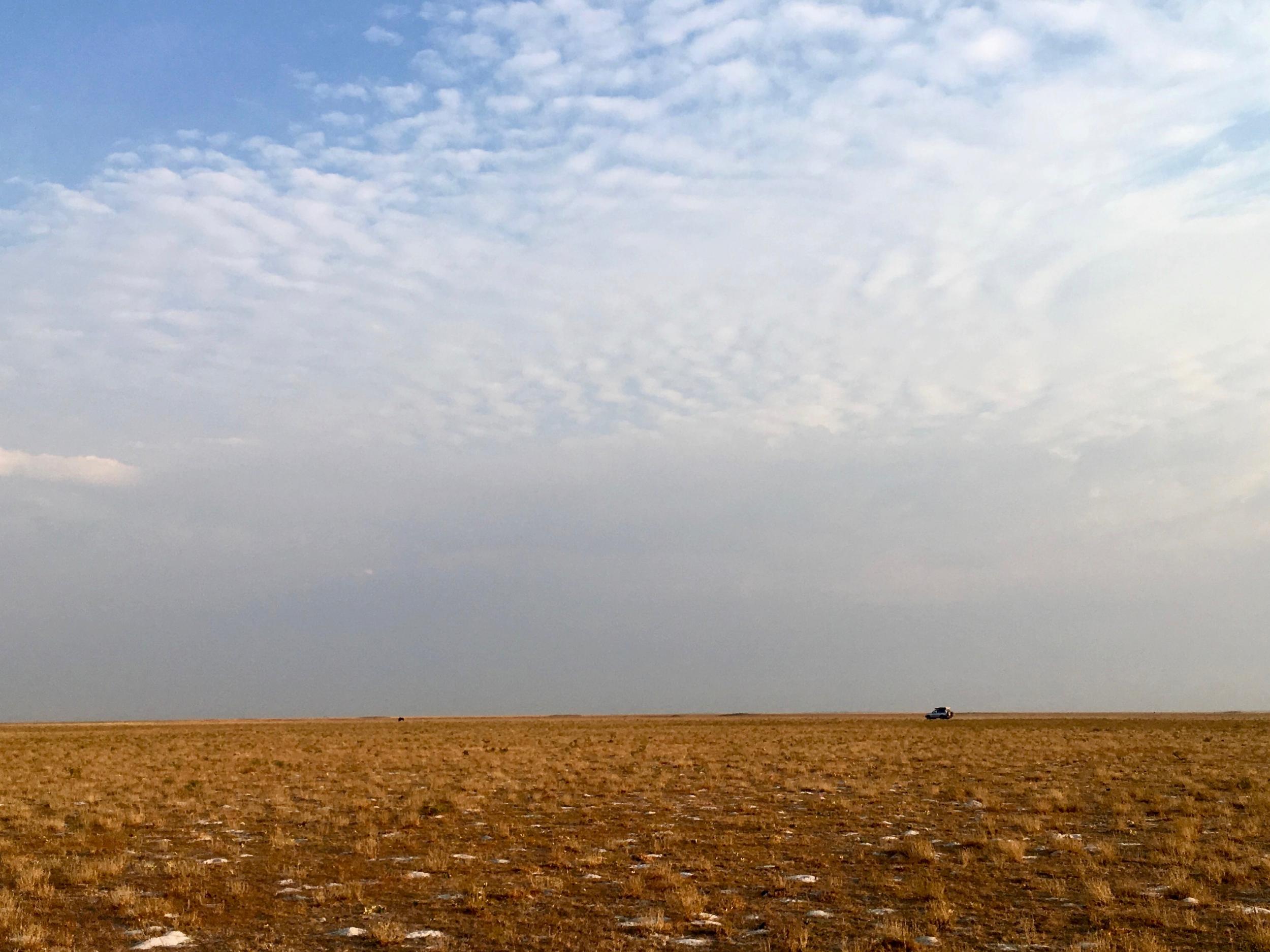 The blonde plains stretch as far as the eye can see