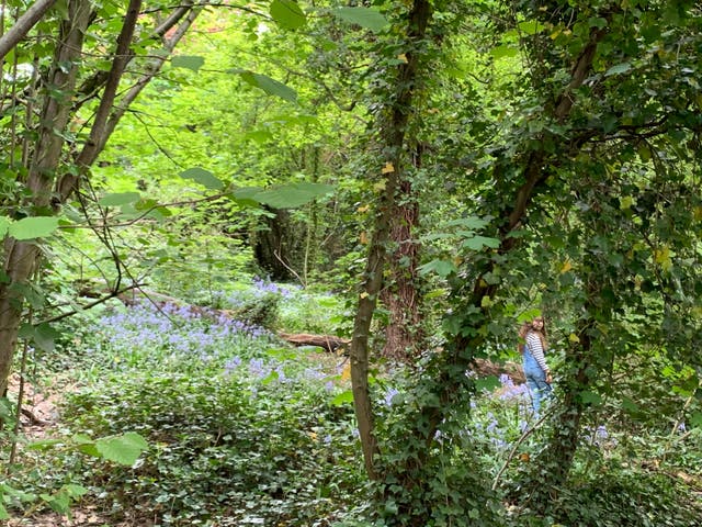 <p>Part of the Green Chain Walk</p>