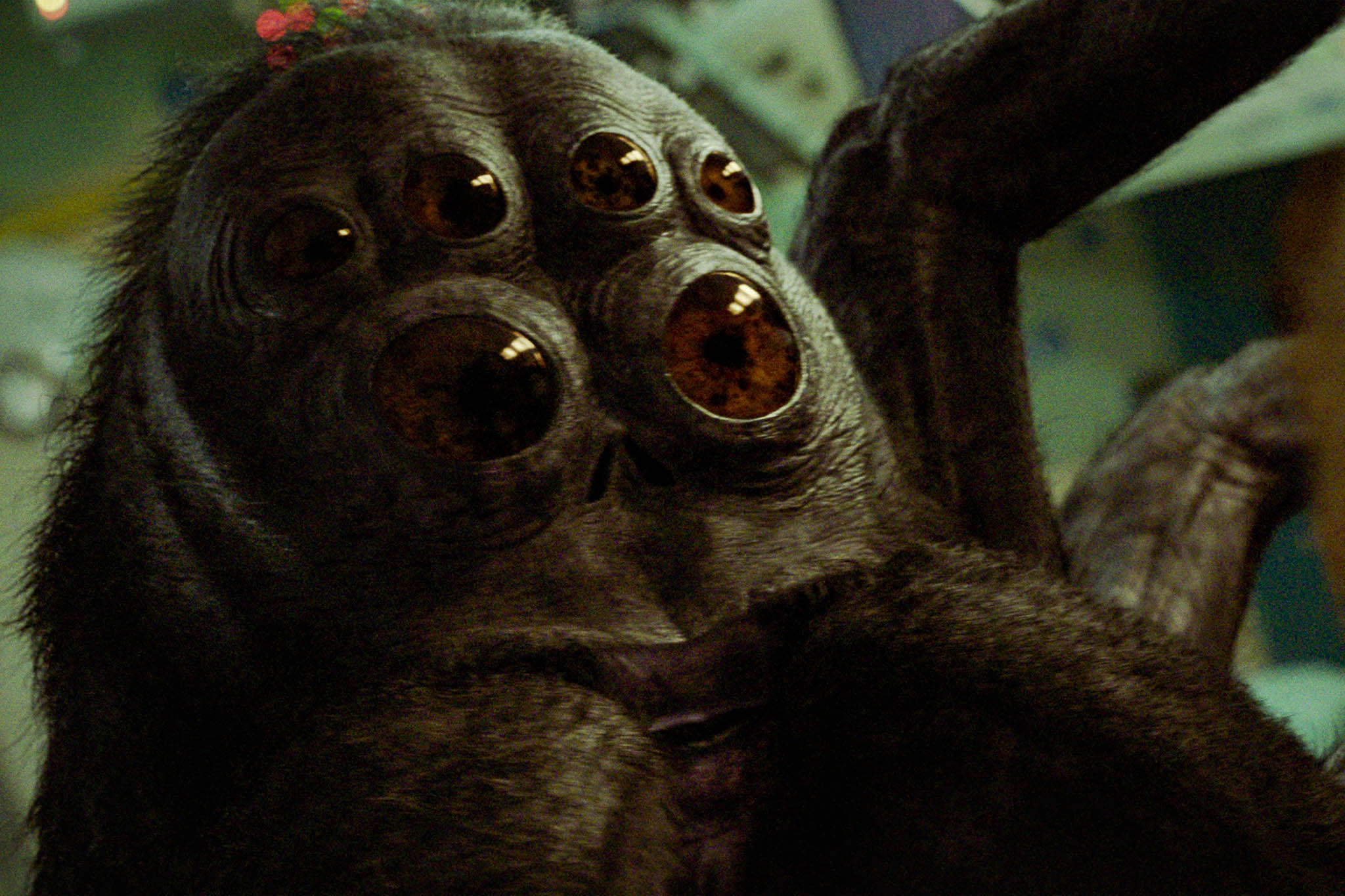 Look into my eyes: Dano as a CGI spider in ‘Spaceman’