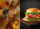 Watch: After dead mouse in chocolate syrup, dead insect found in burger of a popular joint